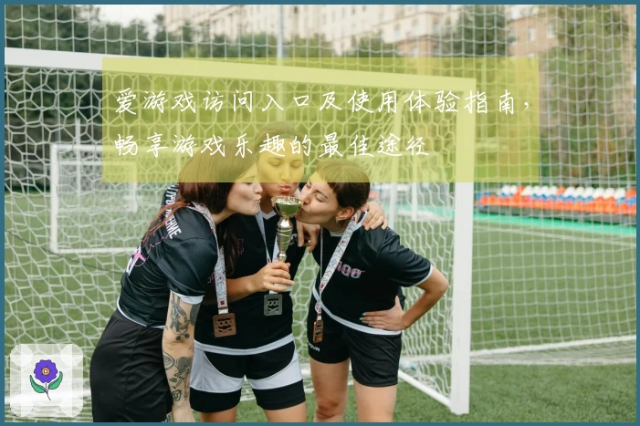 爱游戏访问入口及使用体验指南，畅享游戏乐趣的最佳途径